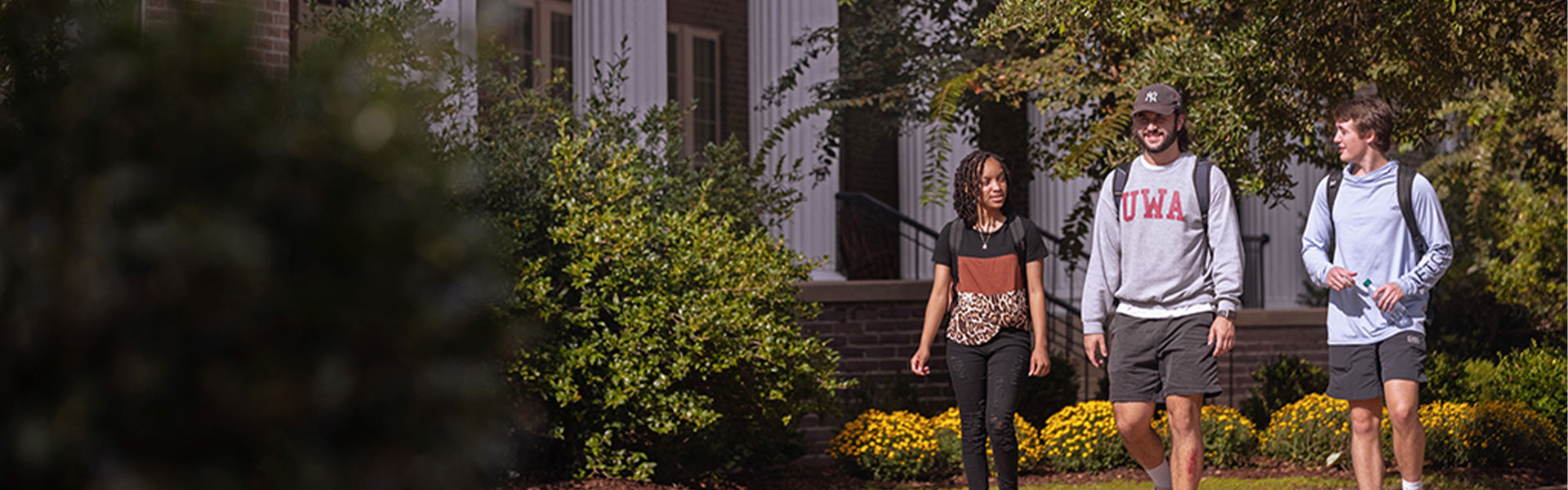 {{ config.site_title }}