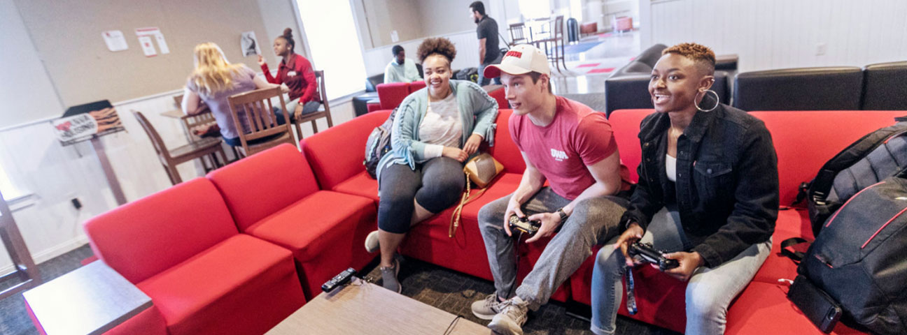 {{ config.site_title }}