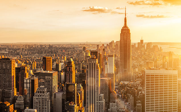 {{ config.site_title }}